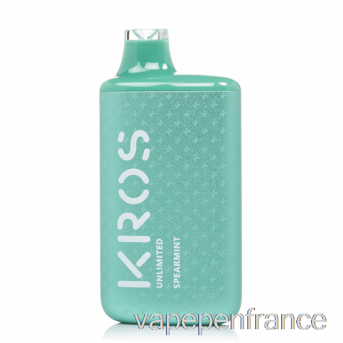 Stylo Vape Jetable à La Menthe Verte Kros Unlimited 6000